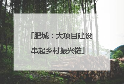 肥城：大项目建设串起乡村振兴链