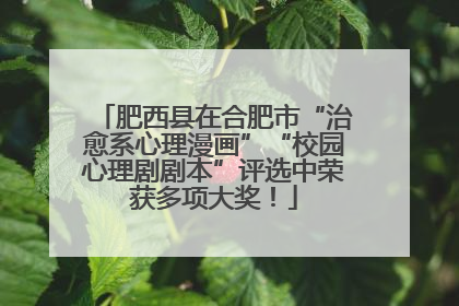 肥西县在合肥市“治愈系心理漫画”“校园心理剧剧本”评选中荣获多项大奖！