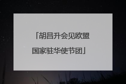 胡昌升会见欧盟国家驻华使节团