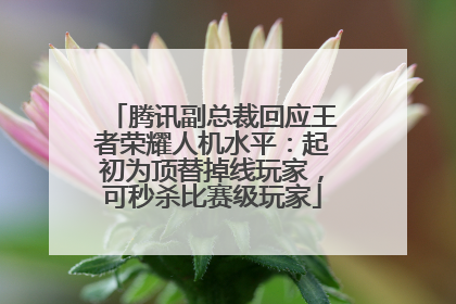 腾讯副总裁回应王者荣耀人机水平：起初为顶替掉线玩家，可秒杀比赛级玩家