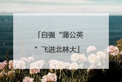 自强“蒲公英”飞进北林大