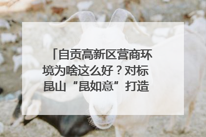 自贡高新区营商环境为啥这么好？对标昆山“昆如意”打造自贡“高兴办”｜美好生活有“盐”味