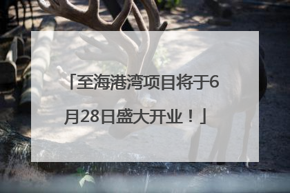 至海港湾项目将于6月28日盛大开业！
