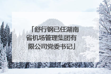 舒行钢已任湖南省机场管理集团有限公司党委书记