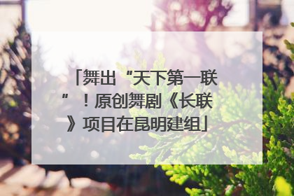 舞出“天下第一联”！原创舞剧《长联》项目在昆明建组