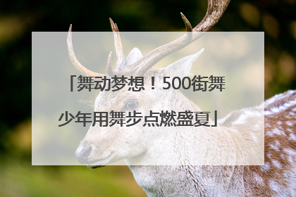 舞动梦想！500街舞少年用舞步点燃盛夏