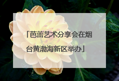 芭蕾艺术分享会在烟台黄渤海新区举办