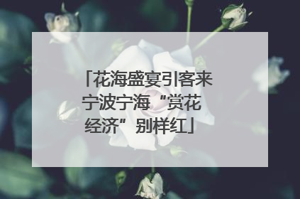 花海盛宴引客来 宁波宁海“赏花经济”别样红