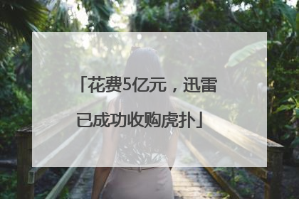 花费5亿元，迅雷已成功收购虎扑