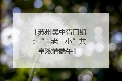 苏州吴中胥口镇：“一老一小”共享浓情端午