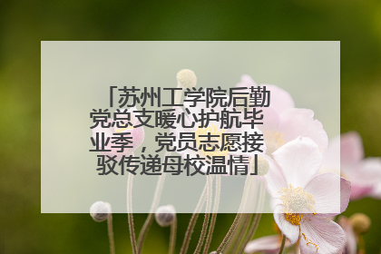 苏州工学院后勤党总支暖心护航毕业季，党员志愿接驳传递母校温情