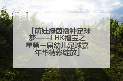 萌娃绿茵播种足球梦——LHK福宝之星第三届幼儿足球嘉年华精彩绽放