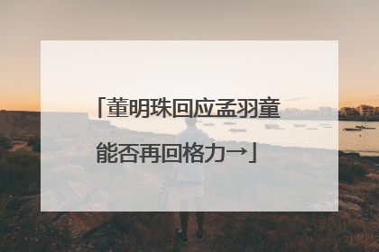 董明珠回应孟羽童能否再回格力→