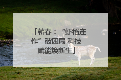 蕲春：“虾稻连作”破困局 科技赋能焕新生
