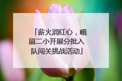 薪火润红心，峨眉二小开展分批入队闯关挑战活动