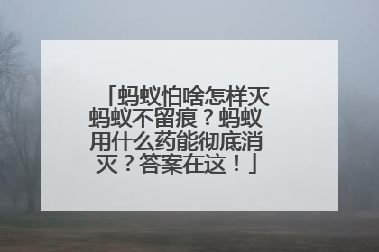 蚂蚁怕啥怎样灭蚂蚁不留痕？蚂蚁用什么药能彻底消灭？答案在这！