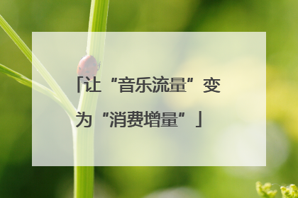 让“音乐流量”变为“消费增量”
