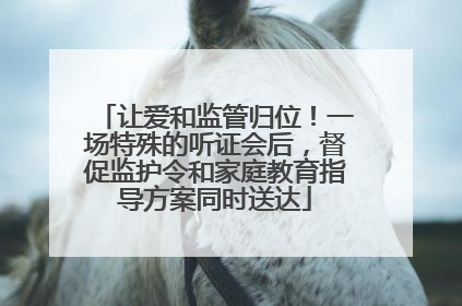 让爱和监管归位！一场特殊的听证会后，督促监护令和家庭教育指导方案同时送达