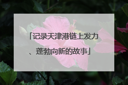 记录天津港链上发力、蓬勃向新的故事