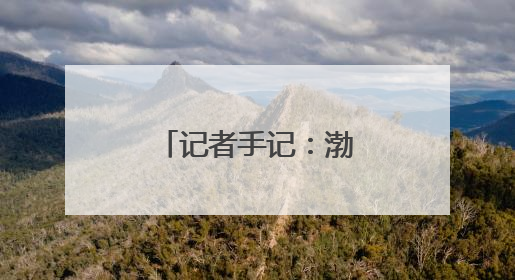 记者手记：渤海湾畔盐碱滩变身“新粮仓”