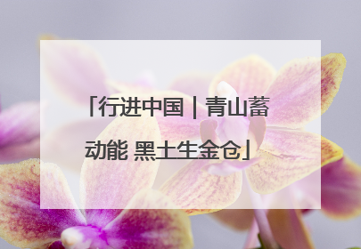 行进中国｜青山蓄动能 黑土生金仓