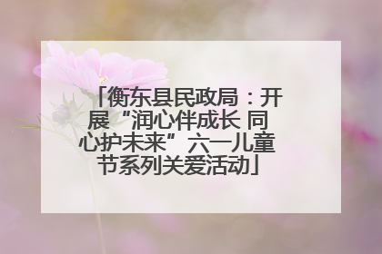 衡东县民政局：开展“润心伴成长 同心护未来”六一儿童节系列关爱活动