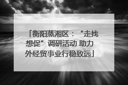 衡阳蒸湘区：“走找想促”调研活动 助力外经贸事业行稳致远