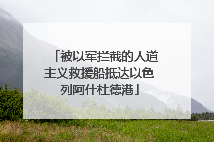 被以军拦截的人道主义救援船抵达以色列阿什杜德港