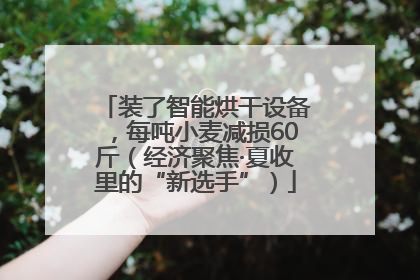 装了智能烘干设备，每吨小麦减损60斤（经济聚焦·夏收里的“新选手”）