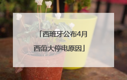 西班牙公布4月西葡大停电原因