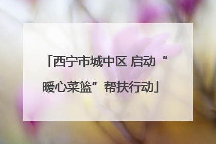 西宁市城中区 启动“暖心菜篮”帮扶行动