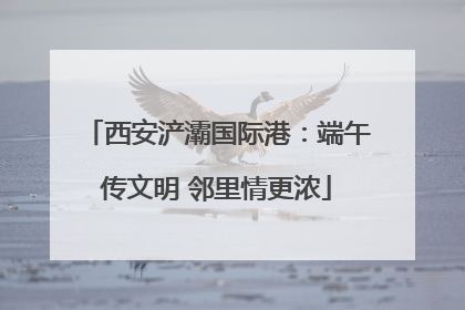 西安浐灞国际港：端午传文明 邻里情更浓
