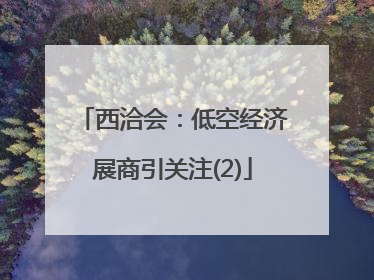 西洽会：低空经济展商引关注(2)