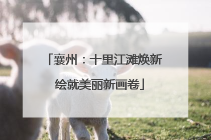 襄州：十里江滩焕新 绘就美丽新画卷