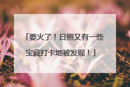 要火了！日照又有一些宝藏打卡地被发现！