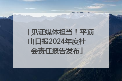 见证媒体担当！平顶山日报2024年度社会责任报告发布