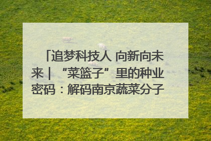 追梦科技人 向新向未来｜“菜篮子”里的种业密码：解码南京蔬菜分子育种的创新之路