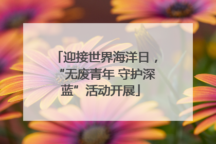 迎接世界海洋日，“无废青年 守护深蓝”活动开展