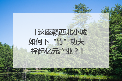 这座赣西北小城如何下“竹”功夫撑起亿元产业？
