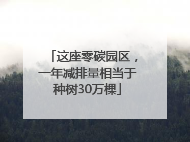 这座零碳园区，一年减排量相当于种树30万棵