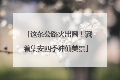 这条公路火出圈！藏着集安四季神仙美景