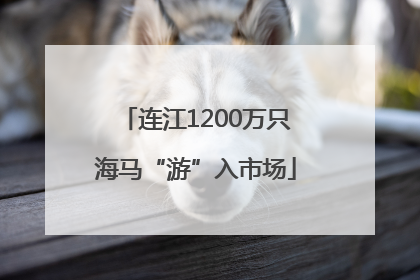 连江1200万只海马“游”入市场