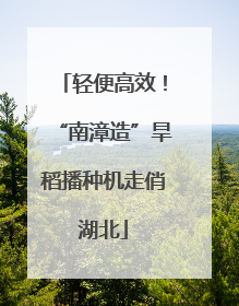 轻便高效！“南漳造”旱稻播种机走俏湖北