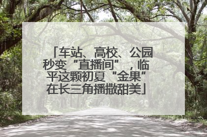 车站、高校、公园秒变“直播间”，临平这颗初夏“金果”在长三角播撒甜美