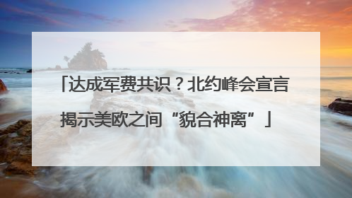 达成军费共识？北约峰会宣言揭示美欧之间“貌合神离”