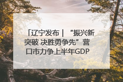 辽宁发布｜“振兴新突破 决胜勇争先”营口市力争上半年GDP增长6%左右