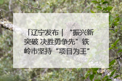 辽宁发布｜“振兴新突破 决胜勇争先”铁岭市坚持“项目为王”推进经济高质量发展