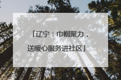 辽宁：巾帼聚力，送暖心服务进社区