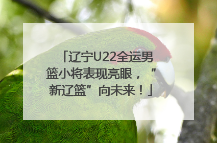 辽宁U22全运男篮小将表现亮眼，“新辽篮”向未来！