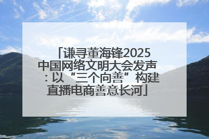 谦寻董海锋2025中国网络文明大会发声：以“三个向善”构建直播电商善意长河